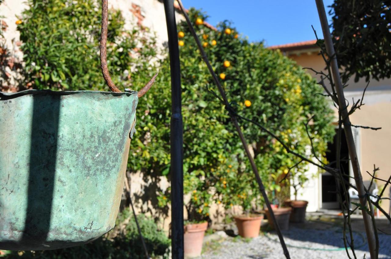 Villa Salvini Marina Di Pisa Exterior foto
